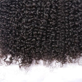 Bundles with Closure Curly Brazilian Virgin Human Hair Weave Bundles 3+1 | SULMY.